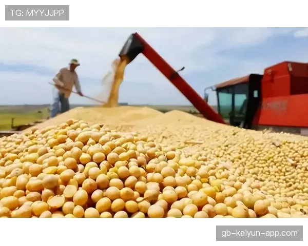 商务部发声:中美大豆和波音贸易仍在推进中,中美大豆协议